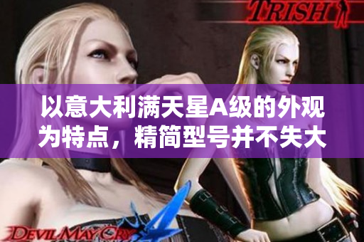 以意大利满天星A级的外观为特点，精简型号并不失大气