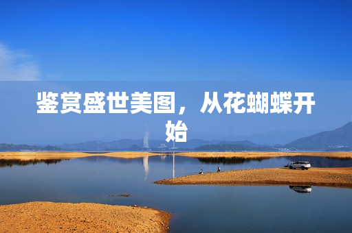 鉴赏盛世美图，从花蝴蝶开始