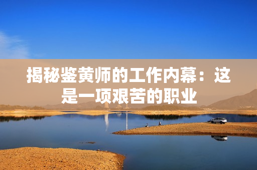 揭秘鉴黄师的工作内幕：这是一项艰苦的职业
