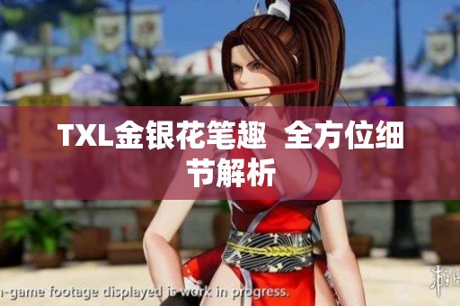 TXL金银花笔趣  全方位细节解析