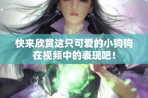 快来欣赏这只可爱的小狗狗在视频中的表现吧！
