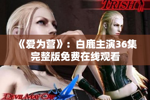 《爱为营》：白鹿主演36集完整版免费在线观看