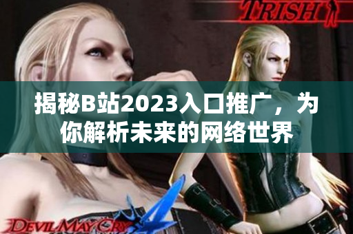 揭秘B站2023入口推广，为你解析未来的网络世界