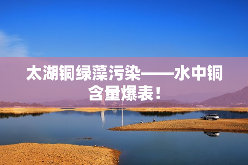 太湖铜绿藻污染——水中铜含量爆表！