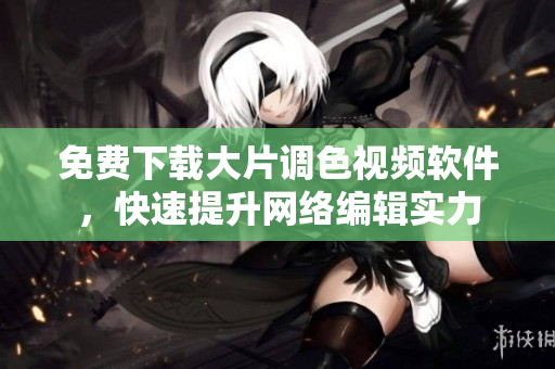 免费下载大片调色视频软件，快速提升网络编辑实力
