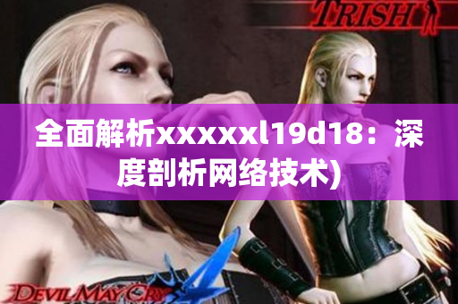 全面解析xxxxxl19d18：深度剖析网络技术)