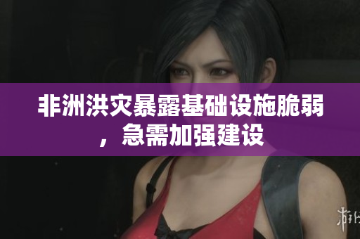 非洲洪灾暴露基础设施脆弱，急需加强建设