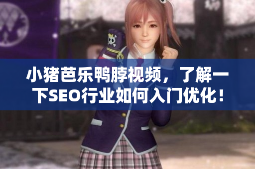小猪芭乐鸭脖视频，了解一下SEO行业如何入门优化！