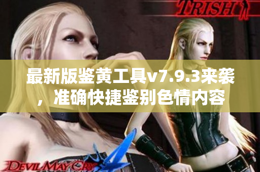 最新版鉴黄工具v7.9.3来袭，准确快捷鉴别色情内容
