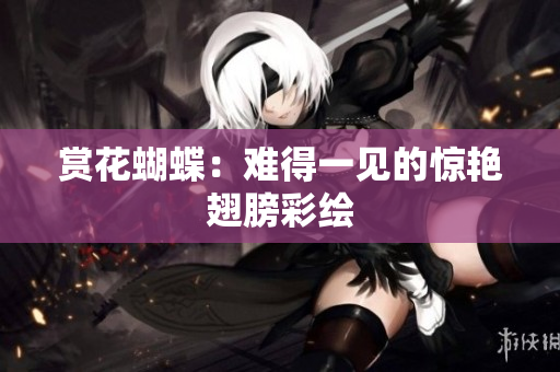 赏花蝴蝶：难得一见的惊艳翅膀彩绘