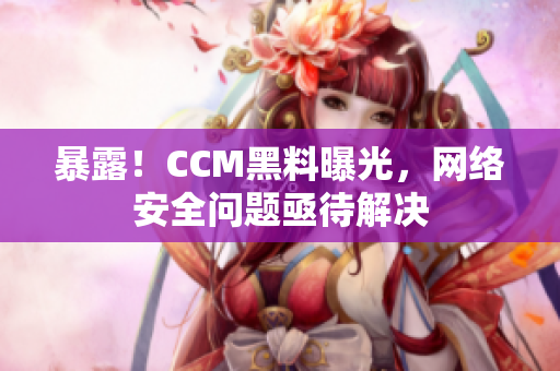 暴露！CCM黑料曝光，网络安全问题亟待解决