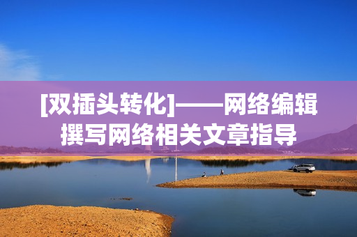 [双插头转化]——网络编辑撰写网络相关文章指导