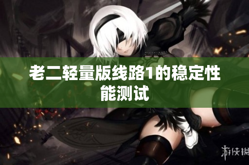 老二轻量版线路1的稳定性能测试
