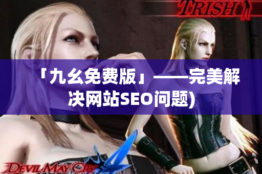 「九幺免费版」——完美解决网站SEO问题)