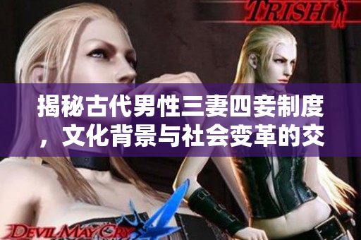 揭秘古代男性三妻四妾制度，文化背景与社会变革的交织