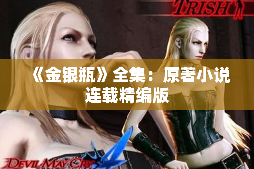 《金银瓶》全集：原著小说连载精编版