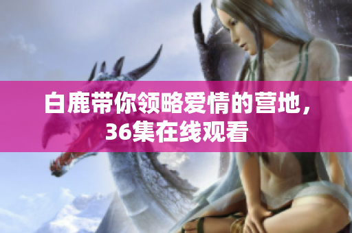 白鹿带你领略爱情的营地，36集在线观看