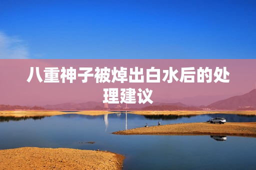 八重神子被焯出白水后的处理建议