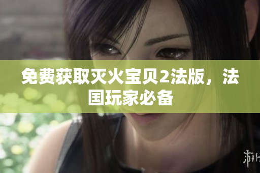 免费获取灭火宝贝2法版，法国玩家必备