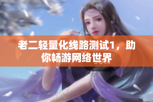 老二轻量化线路测试1，助你畅游网络世界