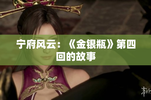 宁府风云：《金银瓶》第四回的故事