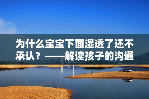 为什么宝宝下面湿透了还不承认？——解读孩子的沟通表达方式