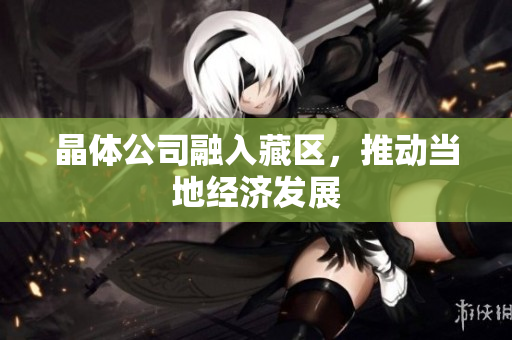 晶体公司融入藏区，推动当地经济发展