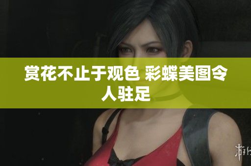 赏花不止于观色 彩蝶美图令人驻足