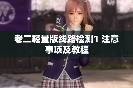 老二轻量版线路检测1 注意事项及教程