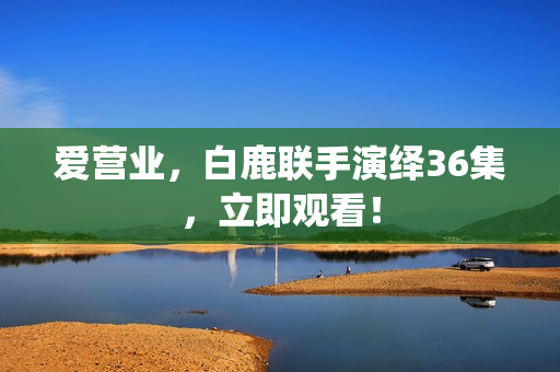 爱营业，白鹿联手演绎36集，立即观看！