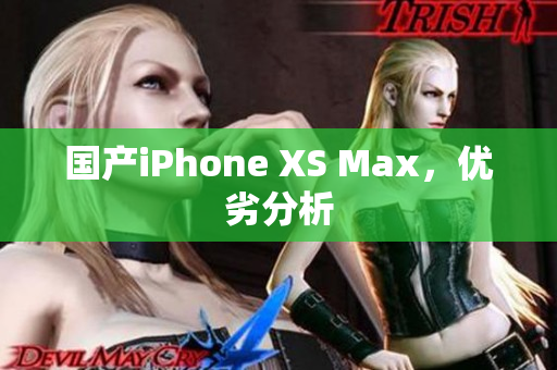 国产iPhone XS Max，优劣分析