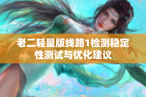 老二轻量版线路1检测稳定性测试与优化建议