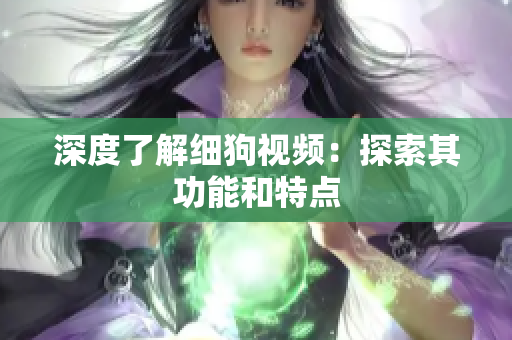 深度了解细狗视频：探索其功能和特点