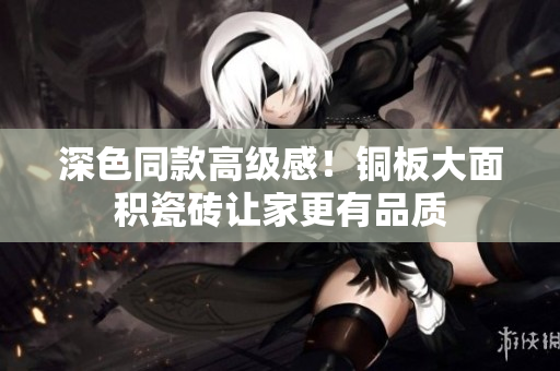 深色同款高级感！铜板大面积瓷砖让家更有品质