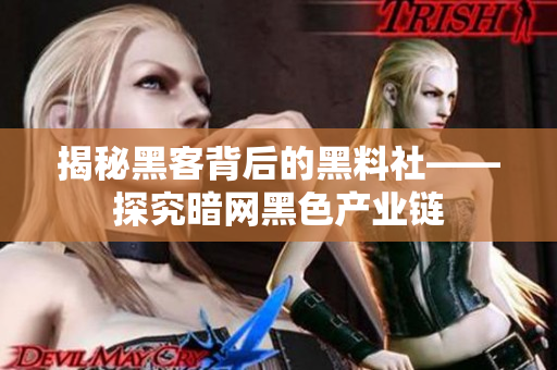 揭秘黑客背后的黑料社——探究暗网黑色产业链