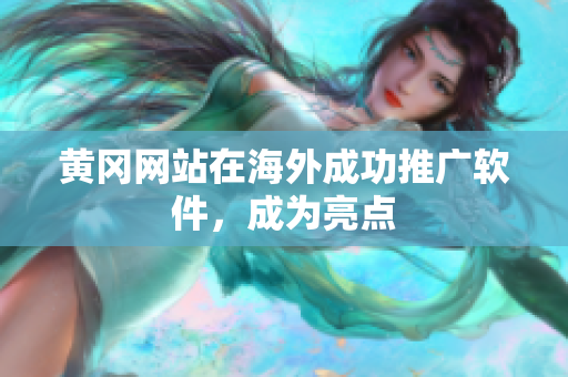 黄冈网站在海外成功推广软件，成为亮点