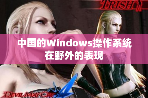 中国的Windows操作系统在野外的表现
