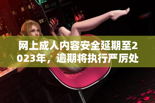 网上成人内容安全延期至2023年，逾期将执行严厉处罚