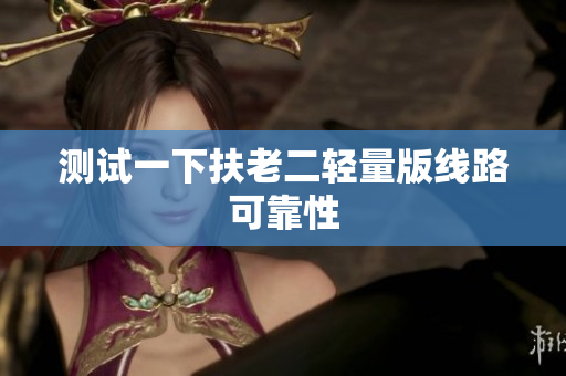 测试一下扶老二轻量版线路可靠性