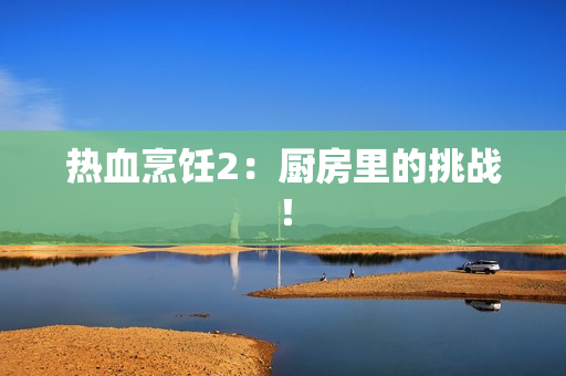 热血烹饪2：厨房里的挑战！