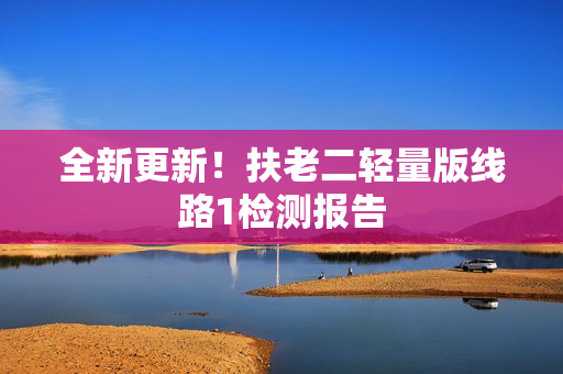 全新更新！扶老二轻量版线路1检测报告