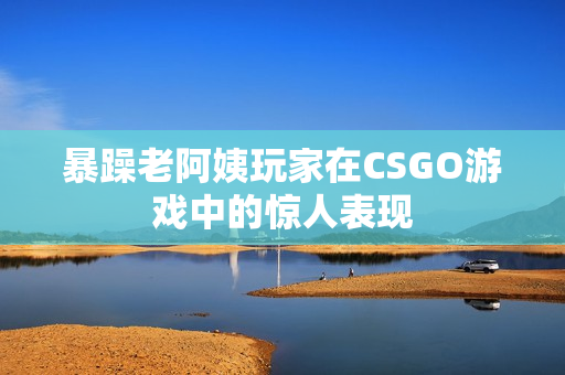 暴躁老阿姨玩家在CSGO游戏中的惊人表现
