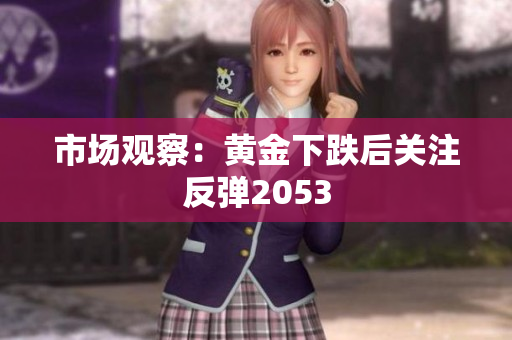 市场观察：黄金下跌后关注反弹2053