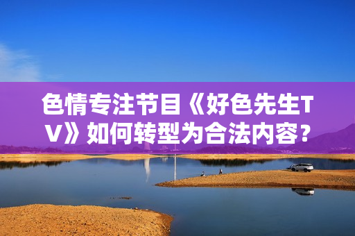 色情专注节目《好色先生TV》如何转型为合法内容？