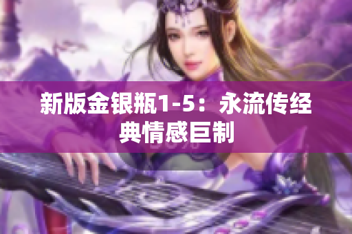 新版金银瓶1-5：永流传经典情感巨制