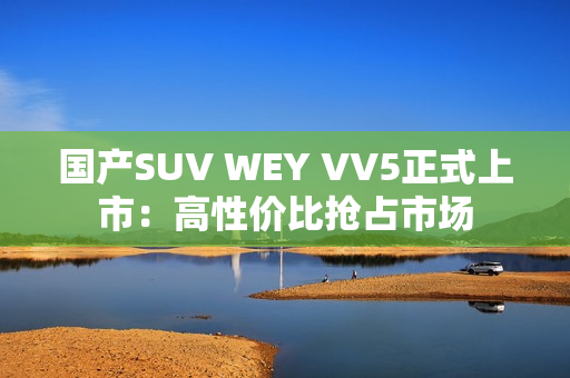 国产SUV WEY VV5正式上市：高性价比抢占市场