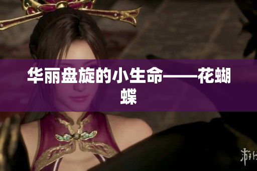 华丽盘旋的小生命——花蝴蝶
