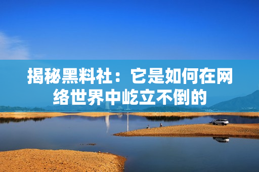 揭秘黑料社：它是如何在网络世界中屹立不倒的
