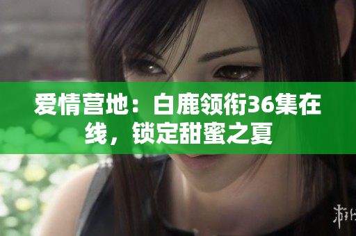 爱情营地：白鹿领衔36集在线，锁定甜蜜之夏