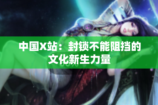 中国X站：封锁不能阻挡的文化新生力量
